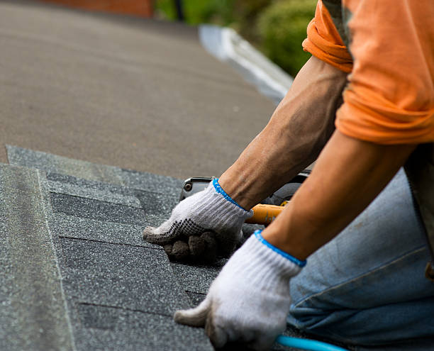 4 Ply Roofing in East Lake Orient Park, FL